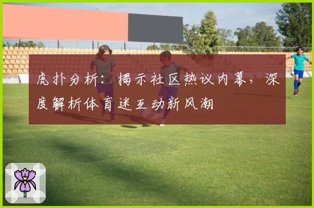 虎扑分析:揭示社区热议内幕,深度解析体育迷互动新风潮