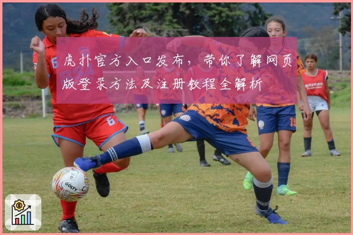 虎扑官方入口发布，带你了解网页版登录方法及注册教程全解析