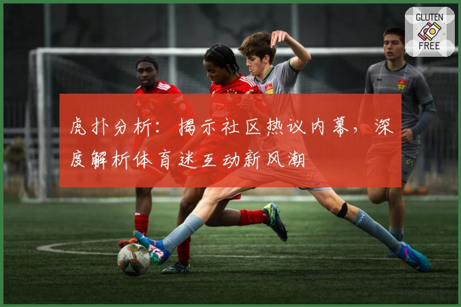 虎扑分析：揭示社区热议内幕，深度解析体育迷互动新风潮